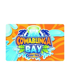 Bán buôn tùy chỉnh in ấn 85.5*54 mét thông minh <span class=keywords><strong>NFC</strong></span> kinh doanh VIP đã ghé thăm thẻ có thể in 13.56MHz RFID <span class=keywords><strong>NFC</strong></span> Thẻ Câu lạc bộ - Product Image 6