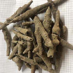 Zi Shao Hua Natural Secado Todo Spongilla Fragilla Dry Spongilla <span class=keywords><strong>Fragilis</strong></span> para Hierba - Product Image 3