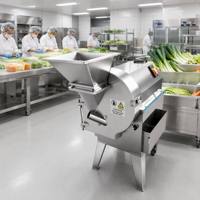 Compacte 180 Model Elektrische Commerciële Groentesnijder met Drie Roestvrijstalen Messen, Duurzaam, Verwisselbaar, Eénmalige Installatie