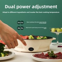 Plaque de cuisson électrique antiadhésive sans fumée, mini barbecue portable, plaque Teppanyaki électrique à usage unique