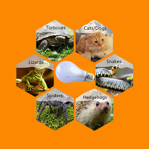 A19 60 W 120V/220V-240V bóng đèn sợi đốt ánh sáng repti Basking Sun đèn A60 với thủy tinh màu tím Halogen bóng đèn bò sát đèn - Product Image 5