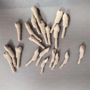 แบบจำลองฟันเรซิ่น KaVo สำหรับฝึกปฏิบัติทางทันตกรรมและการเตรียมฟัน - Product Image 4