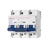 Disjoncteur miniature DZ47-125 100A 400V 6kA MCCB 1P 2P 3P 4P Montage sur rail DIN pour distribution électrique