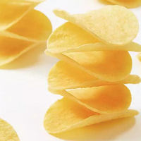 Chips de pommes de terre croustillantes et salées exotiques en gros, 110g, en conserve, vente en gros, HALAL, snack croustillant, origine Chine