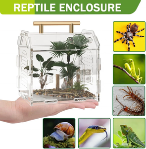 ชุดกรงสำหรับแมงมุมกระโดด, ที่อยู่อาศัยสำหรับตั๊กแตนกัดแมลงแบบป้องกันการหลบหนี, บ้านแมงมุมแบบมีประตูแม่เหล็กสำหรับแมงมุมตระกูลทารันทูลาพร้อมหูจับ - Product Image 4