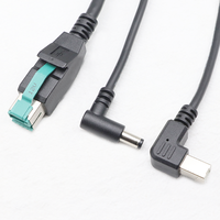 Kustom Pabrik 8Pin 12V daya USB jantan ke USB B jantan + DC5521 jantan 1 hingga 2 kabel pemisah