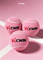 Camewin Camewin Pressuriseur de balles de padel et de tennis de plage professionnel avec élastique pour raquette, OEM