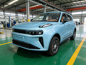 JD New Energy Auto Elettrica Completamente Chiusa P7, Batteria al Litio 200Ah, Autonomia 300km, Motore 50kW, 1 Anno di Garanzia, Velocità 55km/h, 48Nm - Product Image 5
