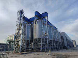Silo inferior de tolva galvanizado por inmersión en caliente 800T Capacidad Silo de acero de nueva condición para almacenamiento de granos para construcción de granjas - Product Image 5