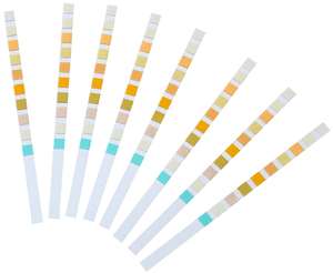 Tiras de prueba de análisis de orina de la URS-10T, resultados en 60s, paquete de 100 - Product Image 6