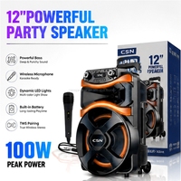 Enceinte karaoké sur chariot 12'' personnalisée CSN-110 avec éclairage RGB, double microphone sans fil TWS, grande puissance – Direct Usine
