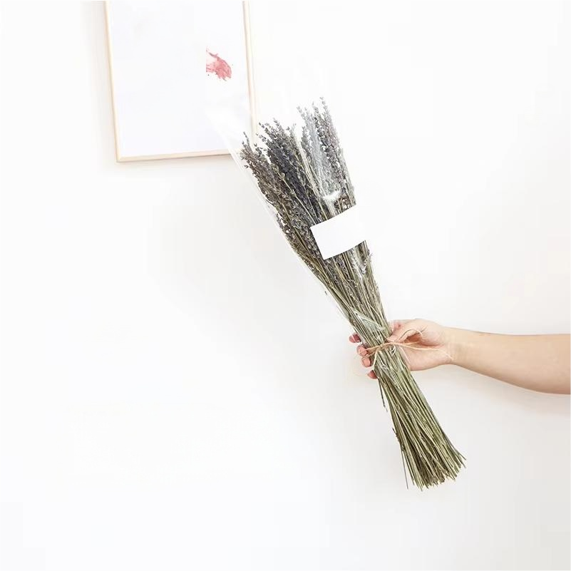 Green Lavender  Approximately 100 Stems (about 45cm Tall