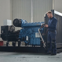 Générateur diesel turbocompressé Weichai Baudouin série V à accouplement direct pour usage industriel