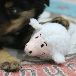 Balle de jeu interactive en métal écologique pour animaux de compagnie, qui parle, rebondit et grince pour le divertissement des chiens - Product Image 5