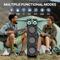 Altavoz OEM Doble de 10 Pulgadas para Cine en Casa y Fiestas al Aire Libre con Luces LED RGB, Bajos Potentes, Sistema de Sonido Portátil para Karaoke