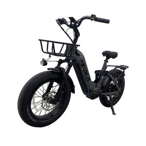 52v 30Ah 60v 20Ah batterie 750W 1000W 20 pouces suspension complète gros pneu Ebike chasse <span class=keywords><strong>électrique</strong></span> Dirt Hunter e-Cycle vélo vélo - Product Image 6