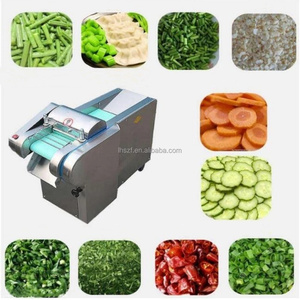 Tagliatrice Industriale per Cavoli, Cipolle e Patate / Macchina per Tagliare Verdure in Vendita da Fornitore Cinese - Product Image 6