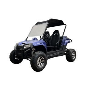 Full Adult 150cc 200cc 300cc Gas UTV Go-Kart côte à côte avec <span class=keywords><strong>automatique</strong></span> avec marche arrière - Product Image 1