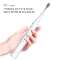 Besman DY-152 maison adulte brosse à dents électrique USB Rechargeable brosse à dents sonique voyage brosse à dents électrique