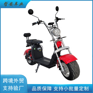 Bicicleta Eléctrica Urbana X11, Batería de Plomo-Ácido de 60V 20AH, 2000W, Bicicleta de Dos Ruedas para Desplazamientos - Product Image 5
