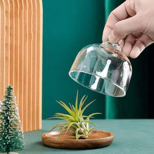 כיסוי מיני לפירות מזכוכית שקופה, קישוט בית אלגנטי, כיפה אירופאית למניעת אבק, מגש אחסון לעוגות, ידידותי לסביבה - Product Image 5