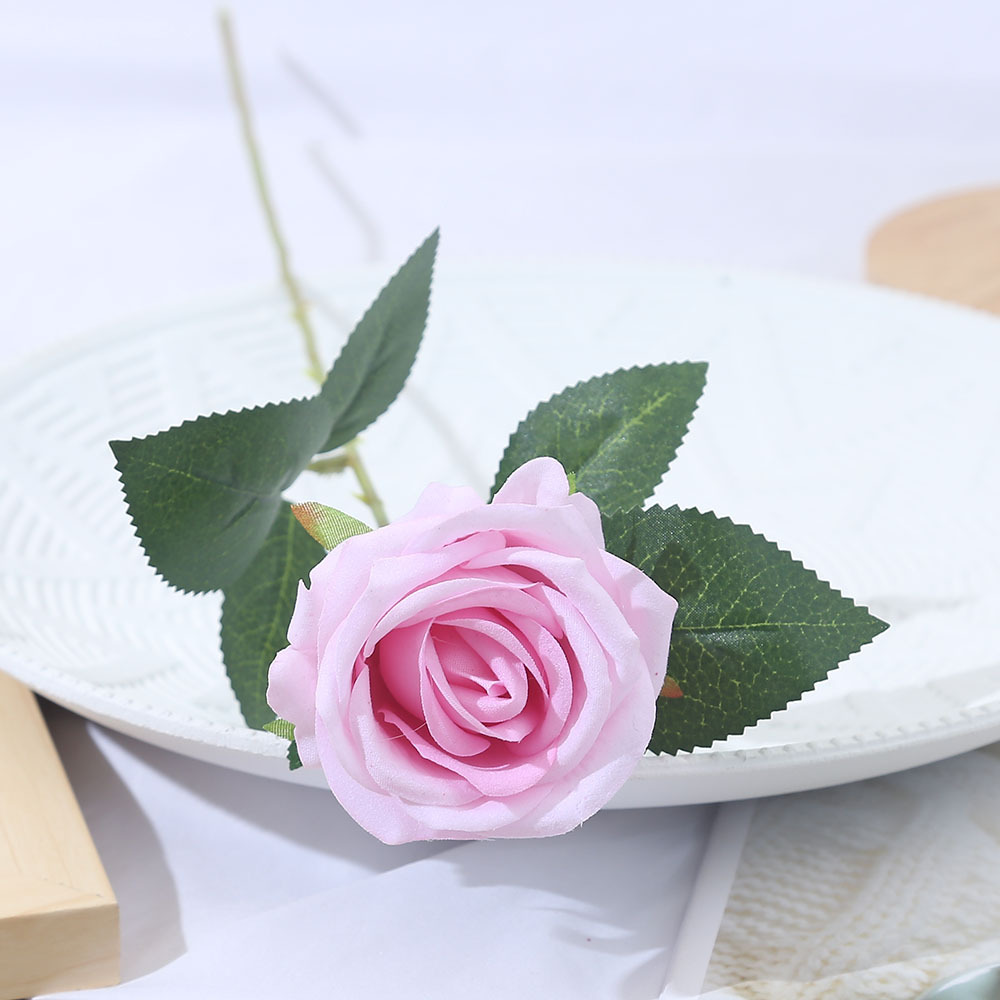 Rosa2
