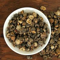 Yu Gan Zi Phyllanthus Emblica AD Fruits séchés bruts, graines de plantes médicinales chinoises, PhyllanthiFructus, aliments santé de haute qualité