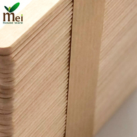 Cuillères à glace en bois compostables avec impression UV - Conception personnalisée acceptée
