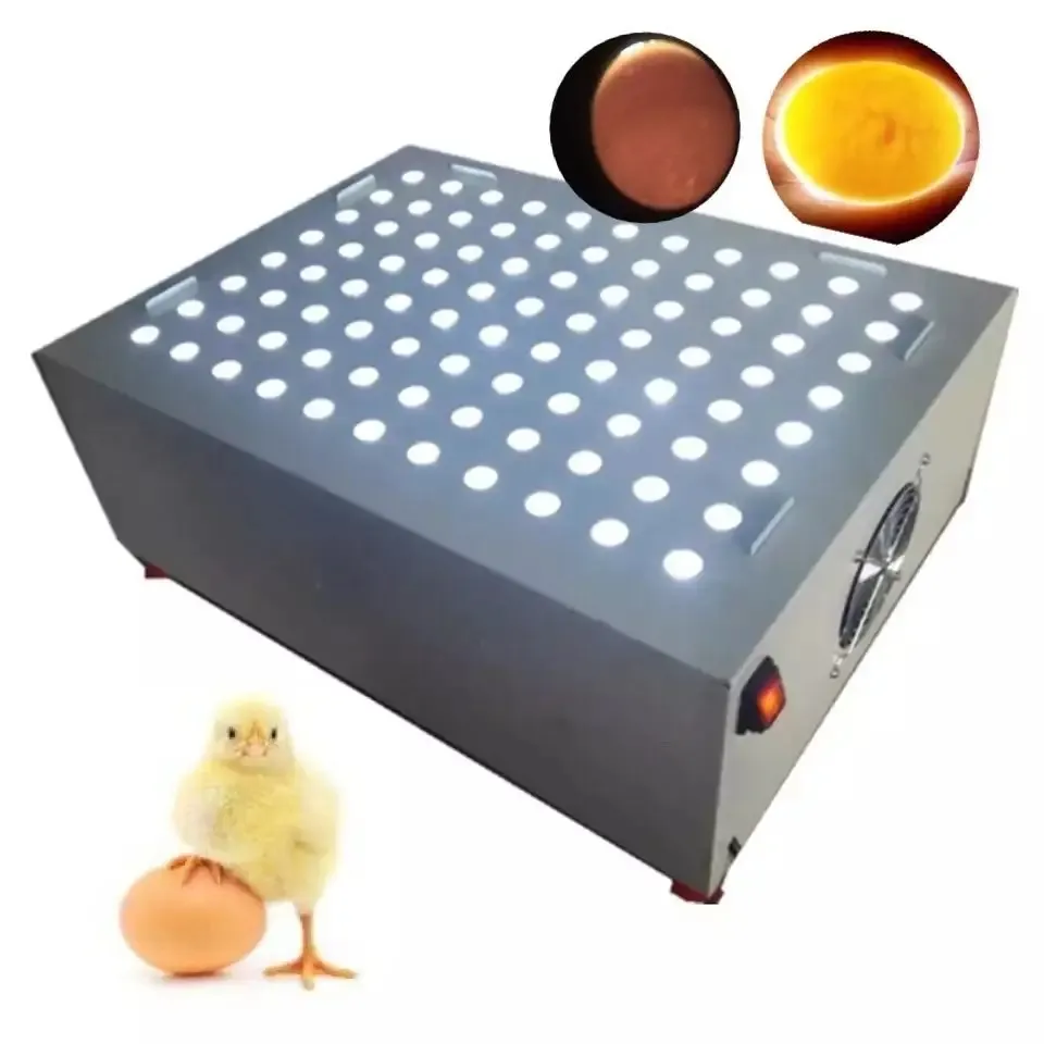 Machine à bougie à LED pour œufs fécondés de poulet/Machine à vérifier les œufs/Testeur automatique de bougies d'œufs à la chandelle