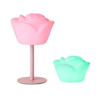 Nouvelle Lampe de Table LED Moderne en Fer Rose, Ambiance Romantique Intérieure, Veilleuse PE Télécommandée, Éclairage 16 Couleurs, Petite, Respectueuse des Yeux, DC
