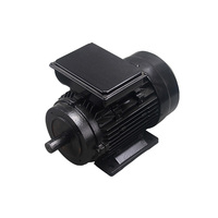 Moteur asynchrone monophasé WOMA série YL, vente chaude, 1400 tr/min, 220 V, 50 Hz, 5,5 kW, 7,5 CV, boîtier en aluminium