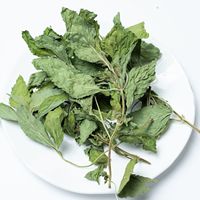 Vente en gros de thé aux herbes chinoises New Nature Feuille de menthe poivrée séchée Feuilles de menthe verte