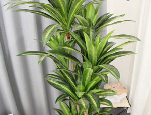 Plantes Artificielles Décoration Maison Dracaena Arbre - Product Image 2