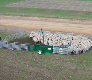 गैल्वेनाइज्ड बाड़ पशुधन गेट मवेशी घोड़े पैनल फील्ड मवेशी भेड़ बाड़ - Product Image 4