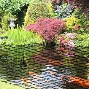 רשת פלסטיק חקלאית להגנה מפני ציפורים וברד, כיסוי לחקלאות, ענבים, עצי תפוח ועצים אחרים - Product Image 5