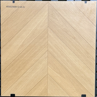 Carreaux de sol modernes en céramique antibactériens antidérapants 600X600mm pour salle de bain et cuisine
