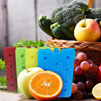 Brique réfrigérante réutilisable en PEHD de qualité alimentaire pour sacs isothermes et boîtes à lunch, pour une conservation au froid longue durée