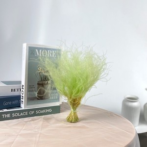 Herbe à plumes, fleur séchée, longue tige, fleur séchée en forme d'aiguille, décoration d'intérieur colorée, accessoires de photographie, vente en gros - Product Image 4