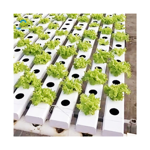 Usine de tuyaux Nft <span class=keywords><strong>Tube</strong></span> carré en plastique PVC hydroponique Culture agricole Canal Nft en serre Systèmes hydroponiques à vendre - Product Image 2