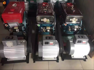 เครื่องกำเนิดไฟฟ้าแบบขับเคลื่อนด้วยสายพาน 5kw 8kw 10kw 20kw 50kw 30kw  220v 380v สำหรับเครื่องกำเนิดไฟฟ้าพลังน้ำ เครื่องกำเนิดไฟฟ้าพลังลม DG9992 380v Gen - Product Image 5