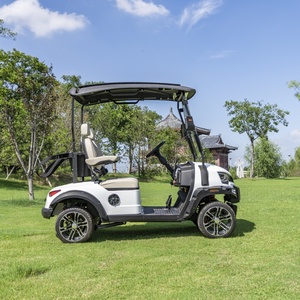 定制颜色 60V 2人座电动高尔夫球车 支持ODM OEM - Product Image 5
