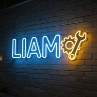 Panneau lumineux LED personnalisé avec le nom de l'enfant, panneau néon personnalisé pour cadeau d'anniversaire de bébé, décoration murale de chambre à coucher, rétroéclairage