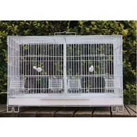 Gros intérieur fer métal matériel résistant coin perroquet Cage grandes cages à oiseaux à vendre cage d'hôpital pour animaux de compagnie Passaro Apito