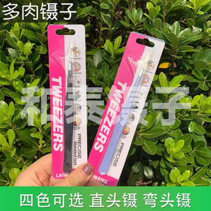 Nuevo producto de comercio electrónico transfronterizo: Pinzas de acero inoxidable para suculentas, kit de manualidades DIY de moda con pinzas rectas de colores. - Product Image 2