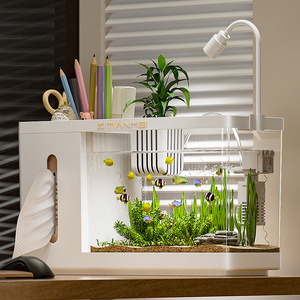 Scatola Multifunzionale Creativa in Plastica per Allevamento, Acquario Idroponico Ecologico Trasparente, Contenitore per Tessuti - Product Image 4