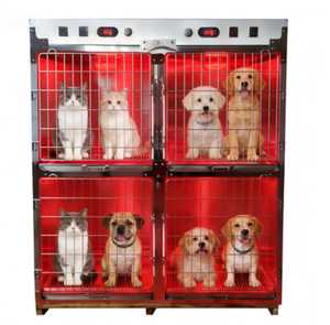 Lámpara de Fisioterapia Infrarroja Osum para Perros y Gatos con LED de Alta Eficiencia y Alimentación por CC para Uso en Hospitales Veterinarios y UCI - Product Image 3