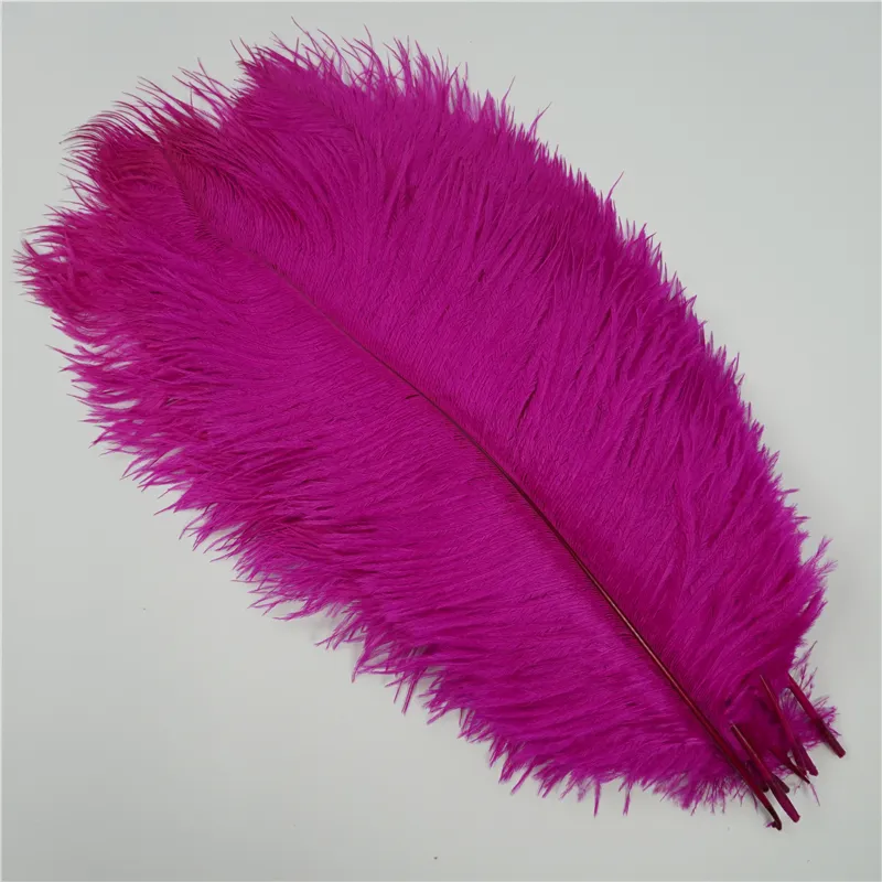 Wholesale Decor Feather Natural colored l Ostrich Feathers cheap for Wedding wal decoration