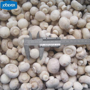 Compra directa de fábrica a granel champiñón congelado hongo champiñón congelado IQF champiñón entero con certificaciones - Product Image 2