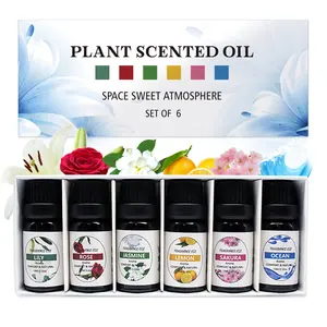 2023 New Aromatherapy Oils 6 Gift Set With Water Soluble Essential Oils