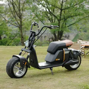 Stock usa Eu livraison gratuite nouveau Scooter tout-terrain pliable Portable 80-100 km/h Scooter électrique adulte à deux roues